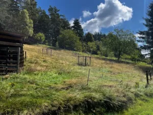 Prodej rodinného domu, Všelibice - Lísky, 175 m2