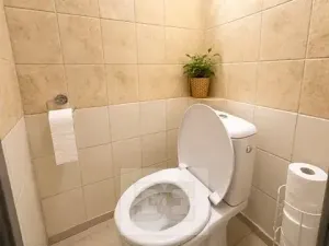 Pronájem bytu 2+kk, Prostějov, Knihařská, 60 m2