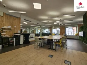 Pronájem komerční nemovitosti, Jihlava, Matky Boží, 151 m2