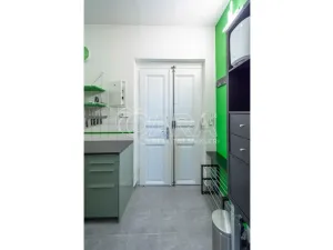 Pronájem bytu 2+kk, Praha - Karlín, Thámova, 43 m2
