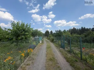 Prodej zahrady, Most, 400 m2