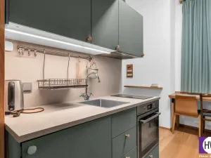 Prodej ubytování, Praha, Školská, 21 m2