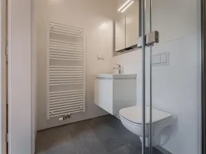 Pronájem bytu 2+kk, Praha - Žižkov, Seifertova, 46 m2