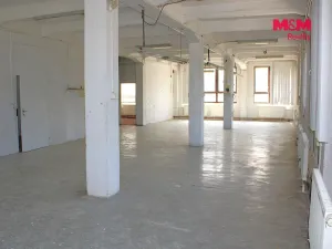 Pronájem výrobních prostor, Nová Paka, Kotíkova, 330 m2