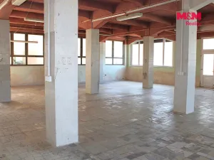 Pronájem obchodního prostoru, Nová Paka, Kotíkova, 330 m2
