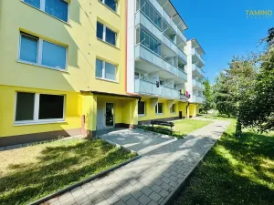Prodej bytu 1+1, Třebíč, Tolstého, 31 m2