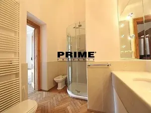Pronájem bytu 6+kk a větší, Praha - Vinohrady, Ibsenova, 256 m2