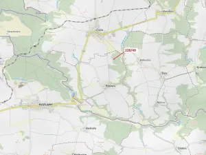 Dražba lesa, Břežany, 2070 m2