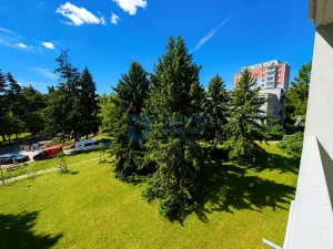 Pronájem bytu 1+1, Neředín, Stupkova, 32 m2
