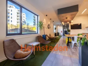 Pronájem bytu 1+kk, Plzeň-Jižní Předměstí, Magisterská, 27 m2