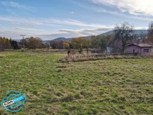 Prodej pozemku pro bydlení, Město Albrechtice, 3681 m2