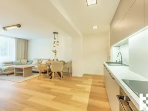 Prodej bytu 3+kk, Lovosice, Prokopa Holého, 58 m2