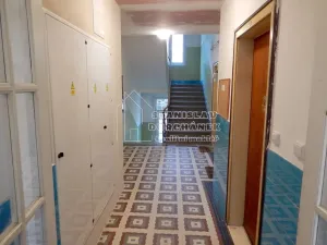 Pronájem bytu 1+kk, Praha - Strašnice, Nad Primaskou, 23 m2