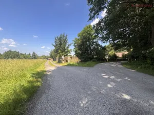 Prodej pozemku pro bydlení, Albrechtice, Loucká, 2485 m2
