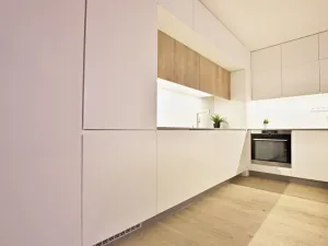 Pronájem bytu 3+kk, Brno - Staré Brno, Anenská, 105 m2
