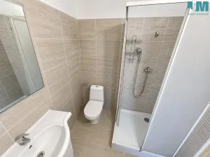 Pronájem ubytování, Heraltice, 160 m2