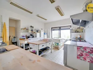 Prodej rodinného domu, Strážnice, Skalická, 360 m2