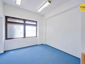 Prodej rodinného domu, Strážnice, Skalická, 360 m2