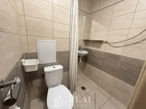 Prodej bytu 1+kk, Louny, Přemyslovců, 23 m2