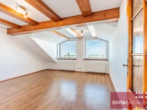 Prodej bytu 3+kk, Olomouc, Hodolanská, 112 m2