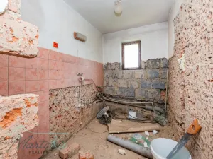 Prodej rodinného domu, Zduchovice, 159 m2
