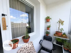 Prodej bytu 1+1, Brno - Bystrc, Kuršova, 45 m2