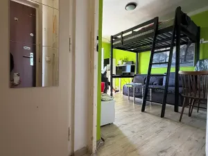 Prodej bytu 1+1, Brno, Halasovo náměstí, 31 m2