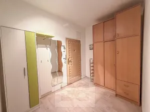 Pronájem bytu 2+1, Ostrov, S. K. Neumanna, 56 m2