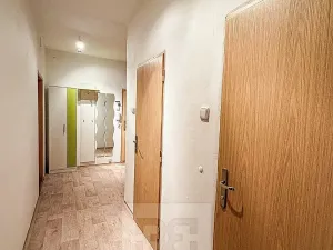 Pronájem bytu 2+1, Ostrov, S. K. Neumanna, 56 m2