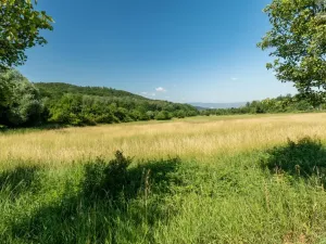 Prodej komerčního pozemku, Braňany - Kaňkov, 23391 m2