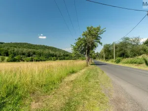 Prodej komerčního pozemku, Braňany - Kaňkov, 23391 m2