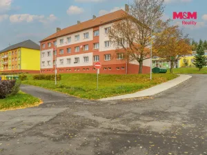 Prodej bytu 2+1, Habartov, Raisova, 58 m2
