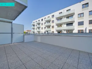 Pronájem bytu 2+kk, Olomouc - Nová Ulice, Třída Jiřího Pelikána, 57 m2