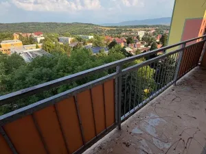 Prodej bytu 2+1, Bílina - Pražské Předměstí, Aléská, 48 m2
