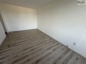 Prodej bytu 2+1, Bílina - Pražské Předměstí, Aléská, 48 m2