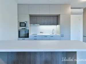 Pronájem bytu 1+kk, Brno, Hybešova, 46 m2