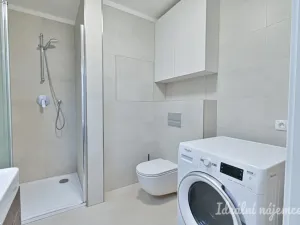 Pronájem bytu 1+kk, Brno, Hybešova, 46 m2