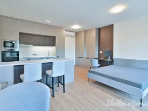 Pronájem bytu 1+kk, Brno, Hybešova, 39 m2