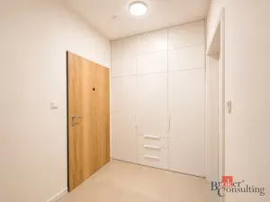 Pronájem bytu 1+kk, Plzeň - Jižní Předměstí, Železná, 35 m2