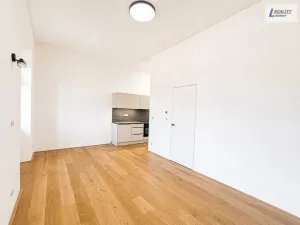Pronájem bytu 1+kk, Jince, Slavíkova, 38 m2