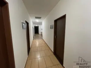 Pronájem bytu 1+kk, Olomouc - Hodolany, Březinova, 45 m2