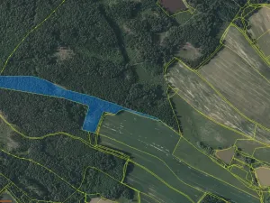 Prodej lesa, Lodhéřov - Studnice, 30002 m2