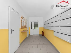 Prodej bytu 3+1, Děčín - Děčín III-Staré Město, Jezdecká, 67 m2