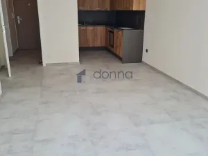 Pronájem bytu 2+kk, Praha, Gerstelova, 52 m2