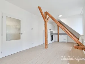Pronájem bytu 1+1, Brno, Slovinská, 45 m2