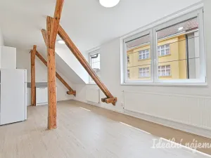 Pronájem bytu 1+1, Brno, Slovinská, 45 m2