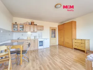 Pronájem bytu 1+kk, Plzeň - Východní Předměstí, Plzenecká, 33 m2
