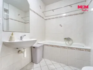 Pronájem bytu 1+kk, Plzeň - Východní Předměstí, Plzenecká, 33 m2