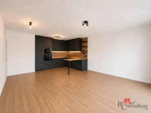 Pronájem bytu 2+kk, Plzeň - Jižní Předměstí, Měděná, 62 m2