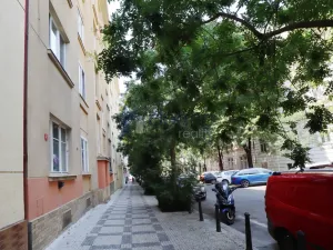 Pronájem bytu 2+kk, Praha, Šmilovského, 54 m2